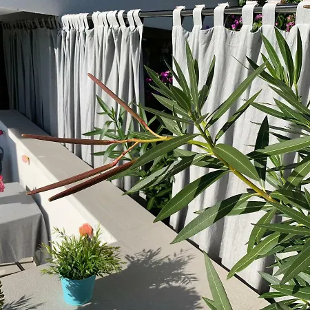 Апартаменты Claudia